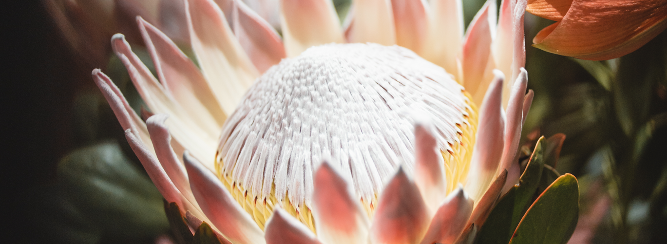 ÖFFNUNGSZEITEN JAHRESWECHSEL 2025/26